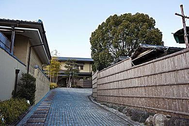 《碧姬公主：表演时刻》已可在PC 60FPS运行